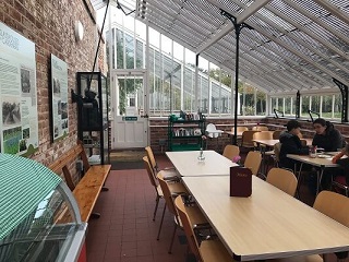 inside the glasshouses at Grappenhall Hays walled garden