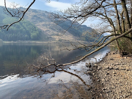 Loch Eck coast