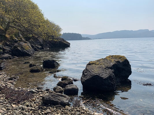 Loch Riddon coast