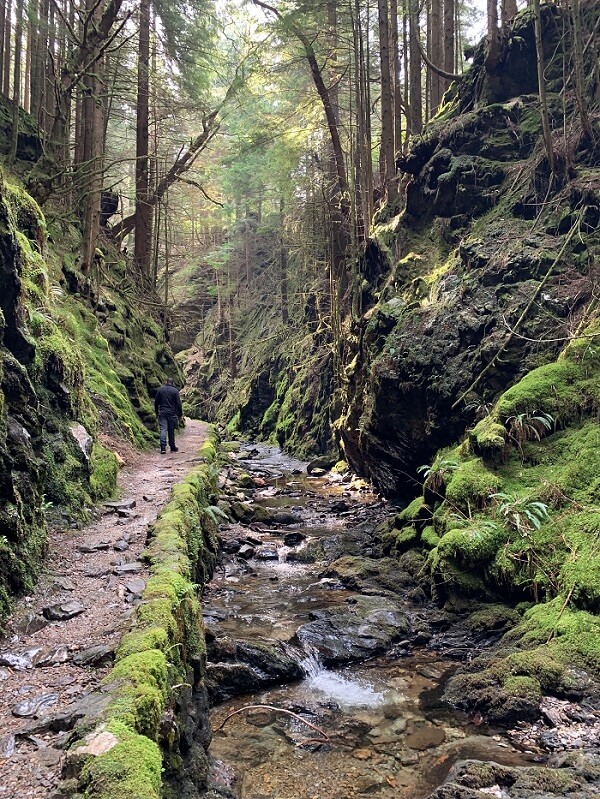 Pucks Glen trail